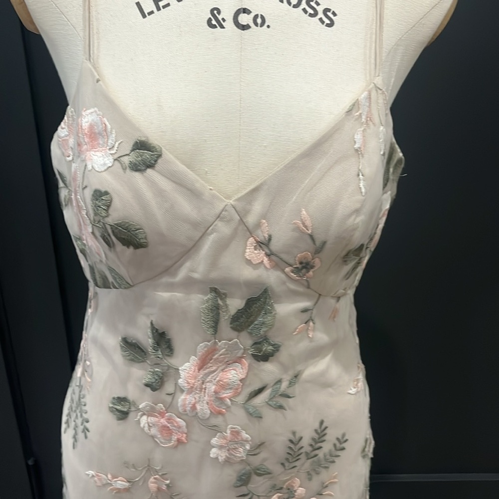 Jenny Yoo‎ Julianna Enchanted Floral Embroidery - Picture 7 of 11